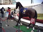 05/05/29：「厳選競馬・軸馬絶対主義　投資競馬のススメ」ディープインパクト・日本ダービー応援ツアー　in東京競馬場　その2